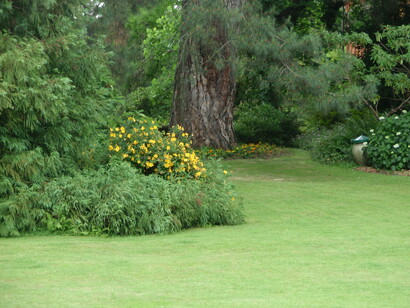 Accostamenti in un giardino formale