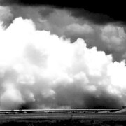 Loris Gréaud. Courtesy of Tel Aviv Museum of Art