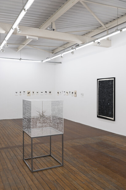 Henrique Cesar. Composed Cosmology