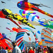 Festival dell'Aquilone