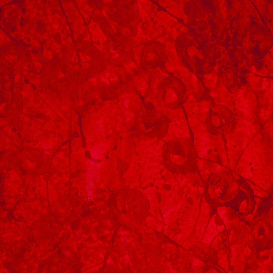 Neuroni e dedriti, dettaglio, 2014, tecnica mista su tela, 195 x 195 cm