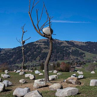 Giuseppe Penone. Courtesy of  Galerie Gagosian