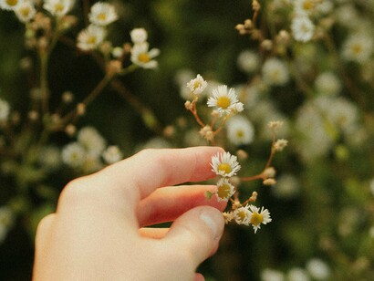 Pessoa aprecia pequenas flores delicadas. A reverência é uma escolha silenciosa. Ela não exige cerimônia. Ela é um gesto interno, um inclinar-se para a vida, como ela é