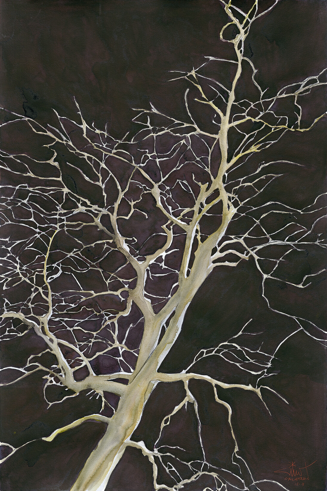 Santiago Calatrava, The climbing tree, 2010, watercolor, 60 x 40 in © Santiago Calatrava, courtesy Marlborough Gallery, New York  