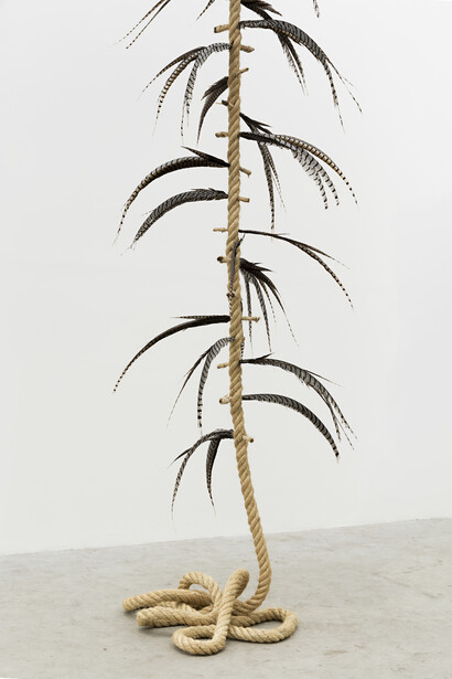 Maria Loboda, Witch’s ladder, 2014, sisal rope, Lady Amherst pheasant feathers, Edition: N/A, variable dimensions. Courtesy of Mendes Wood DM, São Paulo