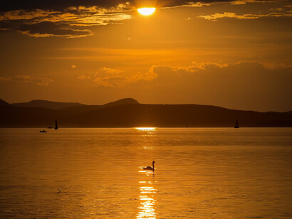 Pobre de nosotros que nos fuimos porque en lo único que podíamos pensar era en el ancho del lago en el que nos íbamos a bañar