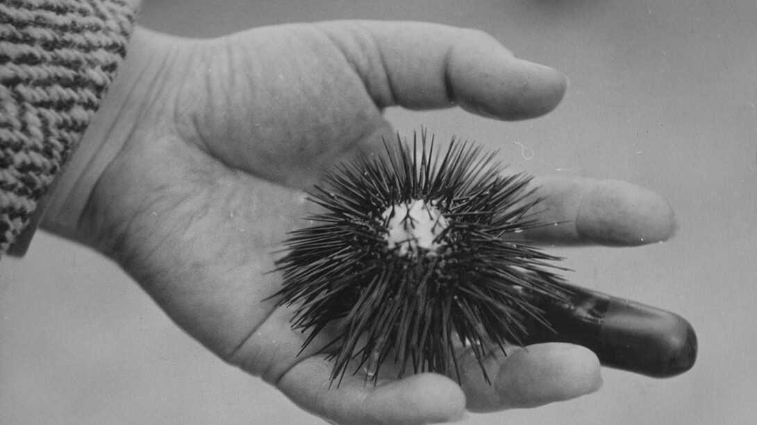 Eli Lotar. Courtesy of Jeu de Paume