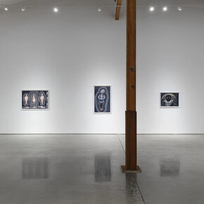 Ann Leda Shapiro, Through the tunnel, exhibition view. Courtesy of François Ghebaly Gallery