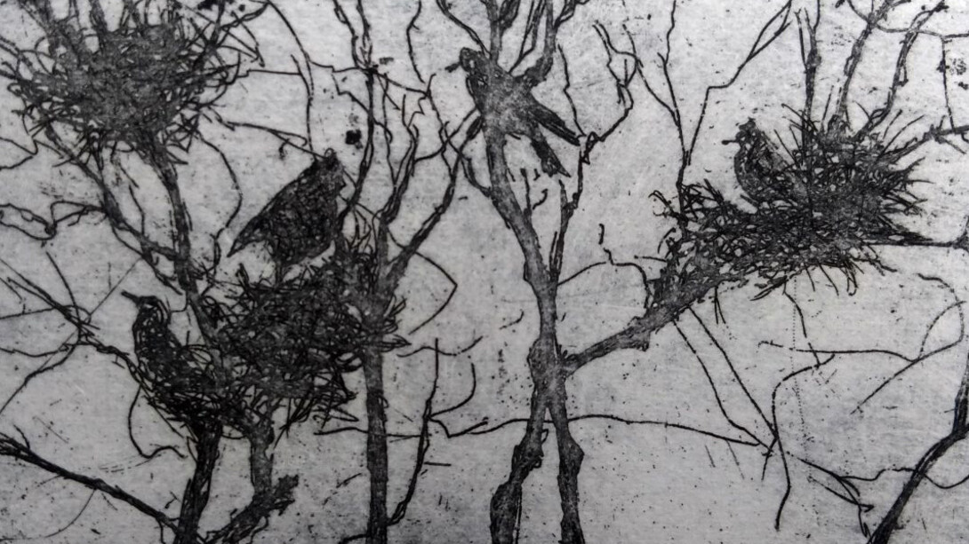 Summer Show. Courtesy of Graphic Studio Gallery