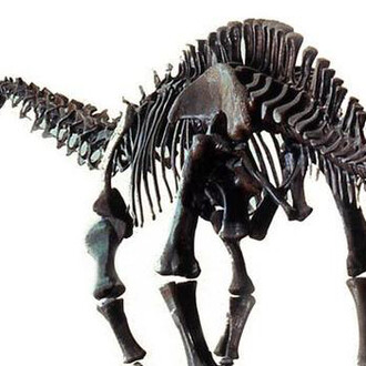 Hall of Saurischian Dinosaurs. Courtesy of American Museum of Natural History