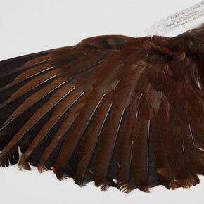 Rebeca Méndez. Courtesy of Cooper Hewitt