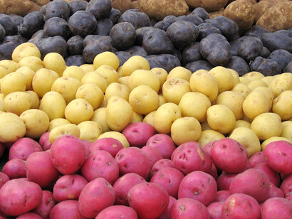 Varietà di patate