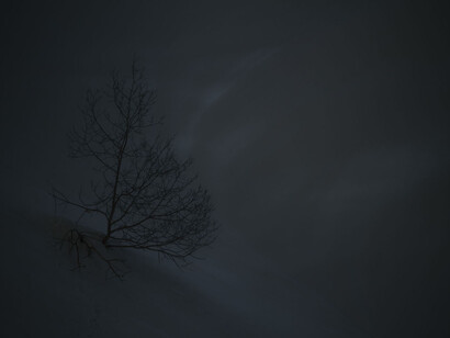 Roberta Segata, Il buio oltre la siepe, 2015