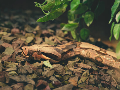 Toda tese sempre suscitará uma antítese contra os tendenciosos germes que em alguma medida a contaminam