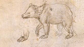 Orso che cammina, Leonardo da Vinci, 1490 circa. Metropolitan Museum of Art, New York