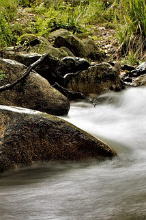Rio Riera, Parque Natural El Montseny, Cataluña, España