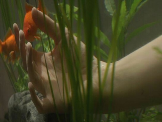 Leah Capaldi, Surveillance, 2014, video still
