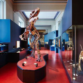 Dinosaurs. Courtesy of Naturhistorisches Museum Basel