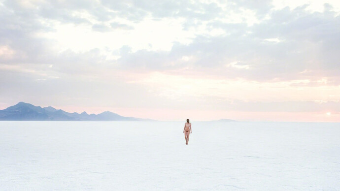Liberation. Courtesy of Bruce Lurie Gallery