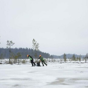 As trees go by, piece in exhibition. Courtesy of Serlachius Museums