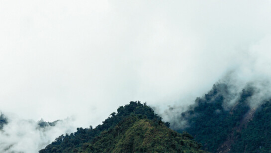 Axel Hütte
Alluriquin-1, Ecuador
2008
c-print
135x165cm/531/4x65in
Edition of 4
courtesy the artist and Daniel Marzona, Berlin