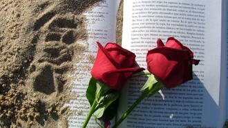 La rosa y el libro, símbolos de Sant Jordi