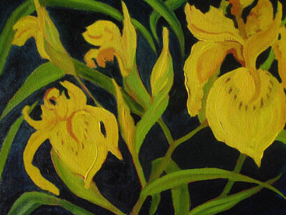 Nancy Klos, Yellow Iris, Oil on Board, 16" x 18"