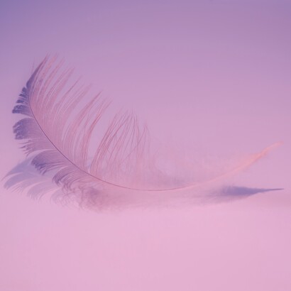 Somos plumas