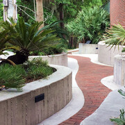 Florida Museum of Natural History