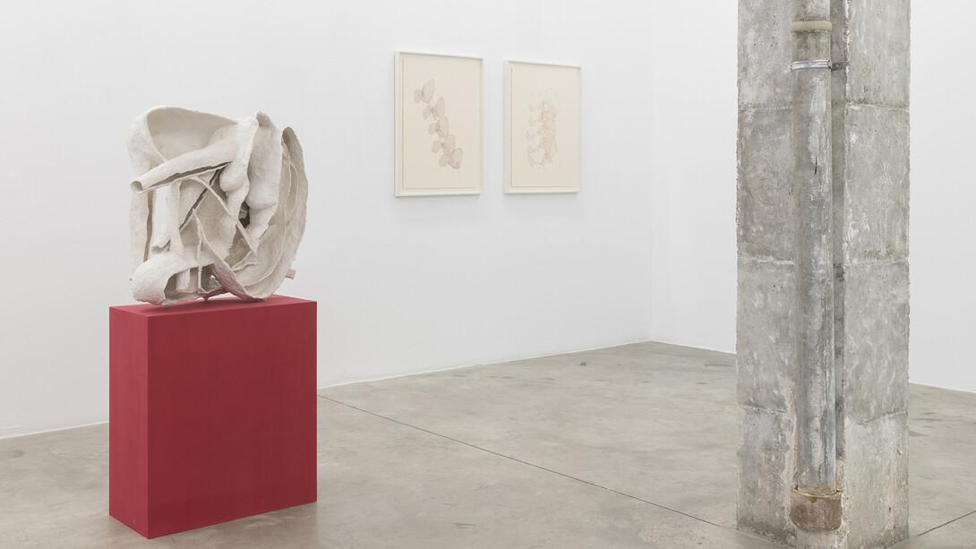 All images courtesy of NoguerasBlanchard, Barcelona/Madrid
Photography Roberto Ruiz