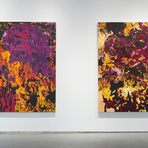 False Indigo, Exhbition view. Courtesy of Proto Gallery