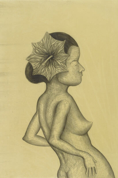 Sandra Vasquez de la Horra, La Contemplante, 2014. Graphite on paper, wax 78,5x60,5 cm