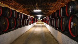 Desfrute da estação com um bom vinho! Saiba tudo sobre vinhos orgânicos, biodinâmicos e naturais e como eles influenciam sua saúde e o meio ambiente