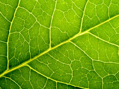 Abbiamo bisogno di vivere fisicamente e di provare emotivamente la complessità