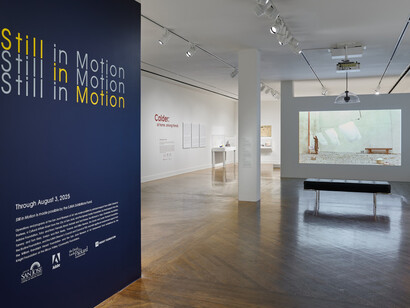 Various artists, Still in motion, exhibition view. Courtesy of San Jose Museum of Art