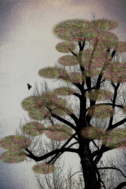 Shamani Surendran, The last bird song #4, 2025. Courtesy of Albumen Gallery