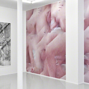 Zone, Exhibition view. Courtesy of Suzanne Tarasieve