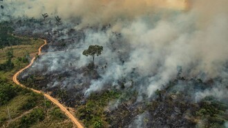 As queimadas na Amazônia emergem como um grave desafio ambiental, contrapondo a imagem de liderança verde atribuída ao Brasil. Foto: Victor Moriyama/Greenpeace