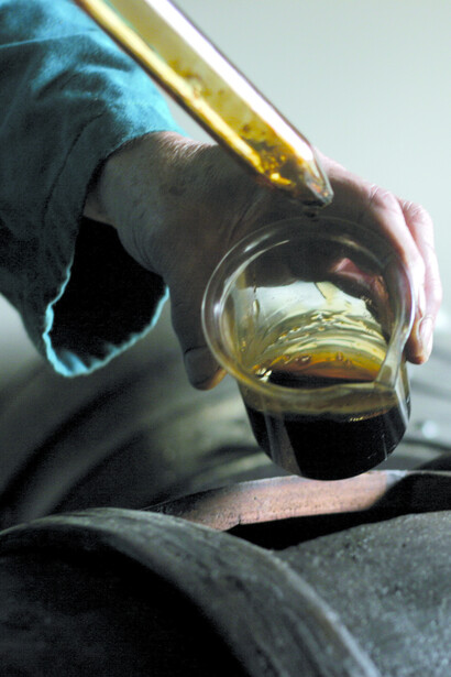 Pruebas en la sede del Aceto Balsamico di Giuseppe Giusti