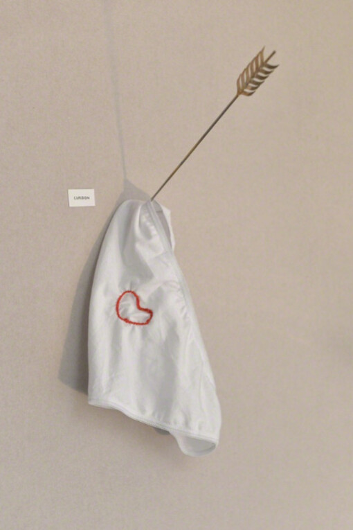 Petites Luxures. Courtesy of Hashimoto Contemporary