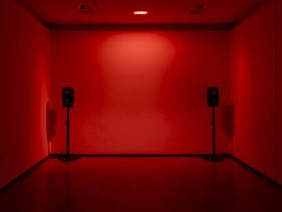 #16161D, exhibition view. Courtesy of the Douglas Hyde