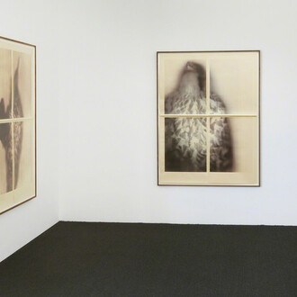 Ann Hamilton, Exhibition view. Courtesy of Gemini G.E.L.