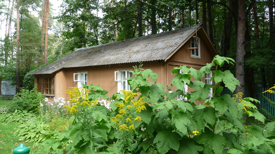 Dacia Pasternak a Peredelkino, casetta accanto nel giardino. Ph Simonetta Sandri