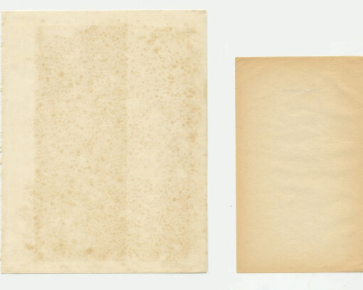 Abigail Reynolds, Lost Libraries. Courtesy of Rokeby Gallery