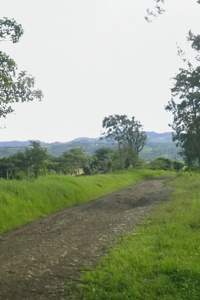 Paraje en Cerro Grande, con el volcán Irazú al fondo. Foto: Luko Hilje