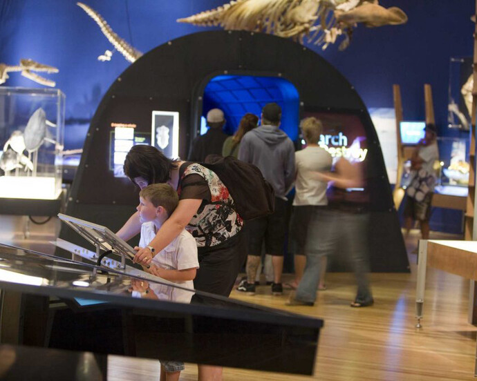 Whales: Giants of the Deep, Exhibition view. Courtesy of Witte Museum 