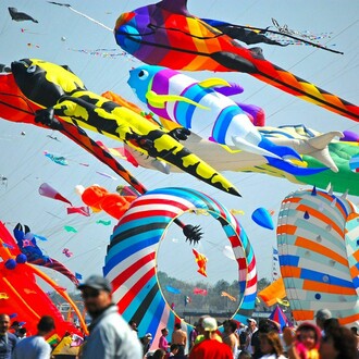 Festival dell'Aquilone