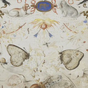Joris Hoefnagel, Amor. Avec l'aimable autorisation du Musée du Louvre