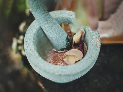 Nature has healed our species since we arrived on Earth and continues to moment-by-moment