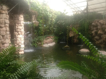 Esa es la utopía. No como un lugar perfecto, sino como un horizonte, una decisión que se siente, se comparte y se construye con otros. Porque se trata de volver al nosotros en plural, trascendiendo el yo singular. Parque ecológico de orquídeas Utopía, 2024. Kibutz Bahan, Israel